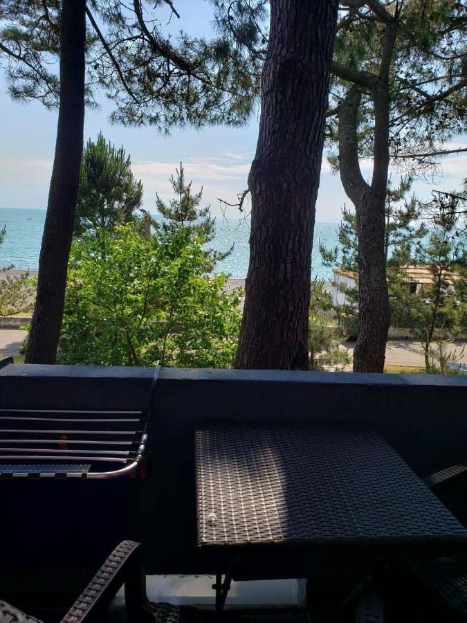 Midia Guest House 코불레티 외부 사진